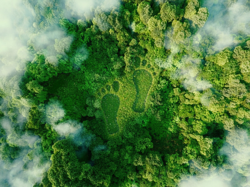 碳係數資料庫查詢